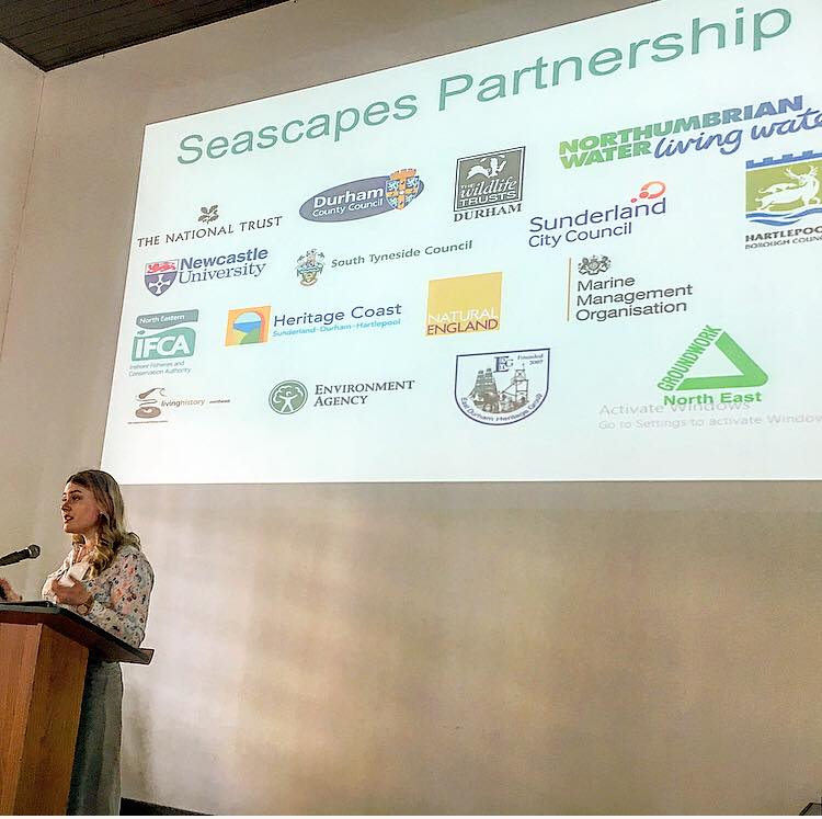 SeaScapes Announcement Pic