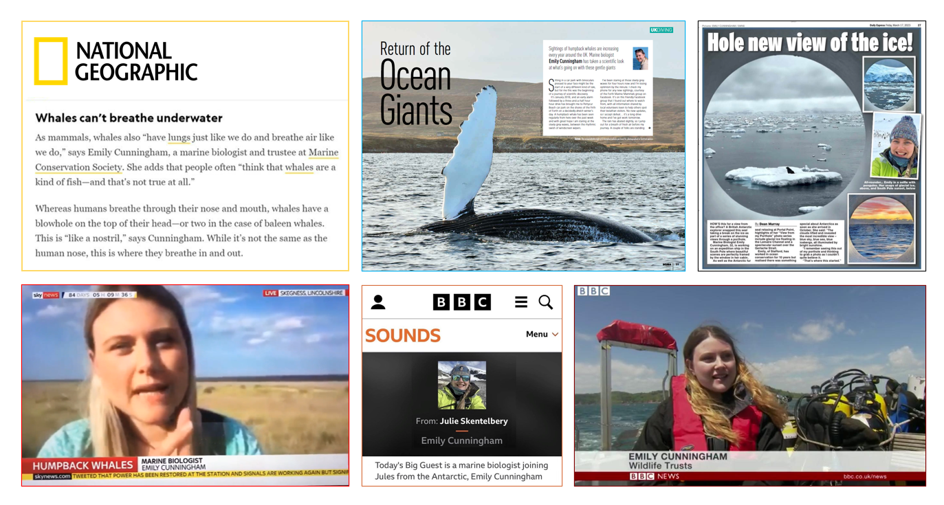 Media Montage for Website